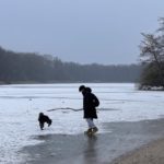 ドイツの湖と犬