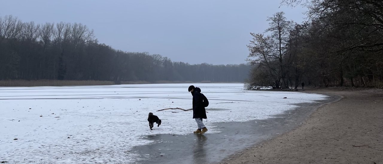 ドイツの湖と犬