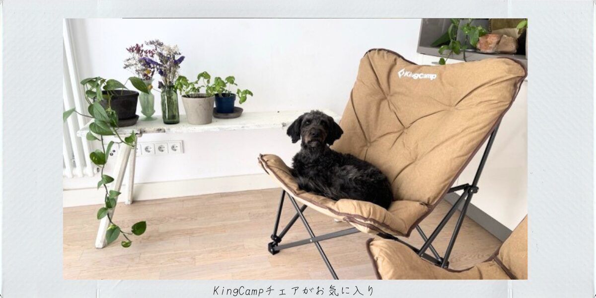KingCampチェア