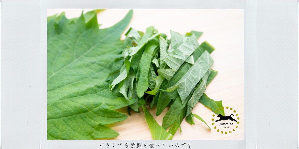 ドイツで紫蘇の種を発芽させる方法