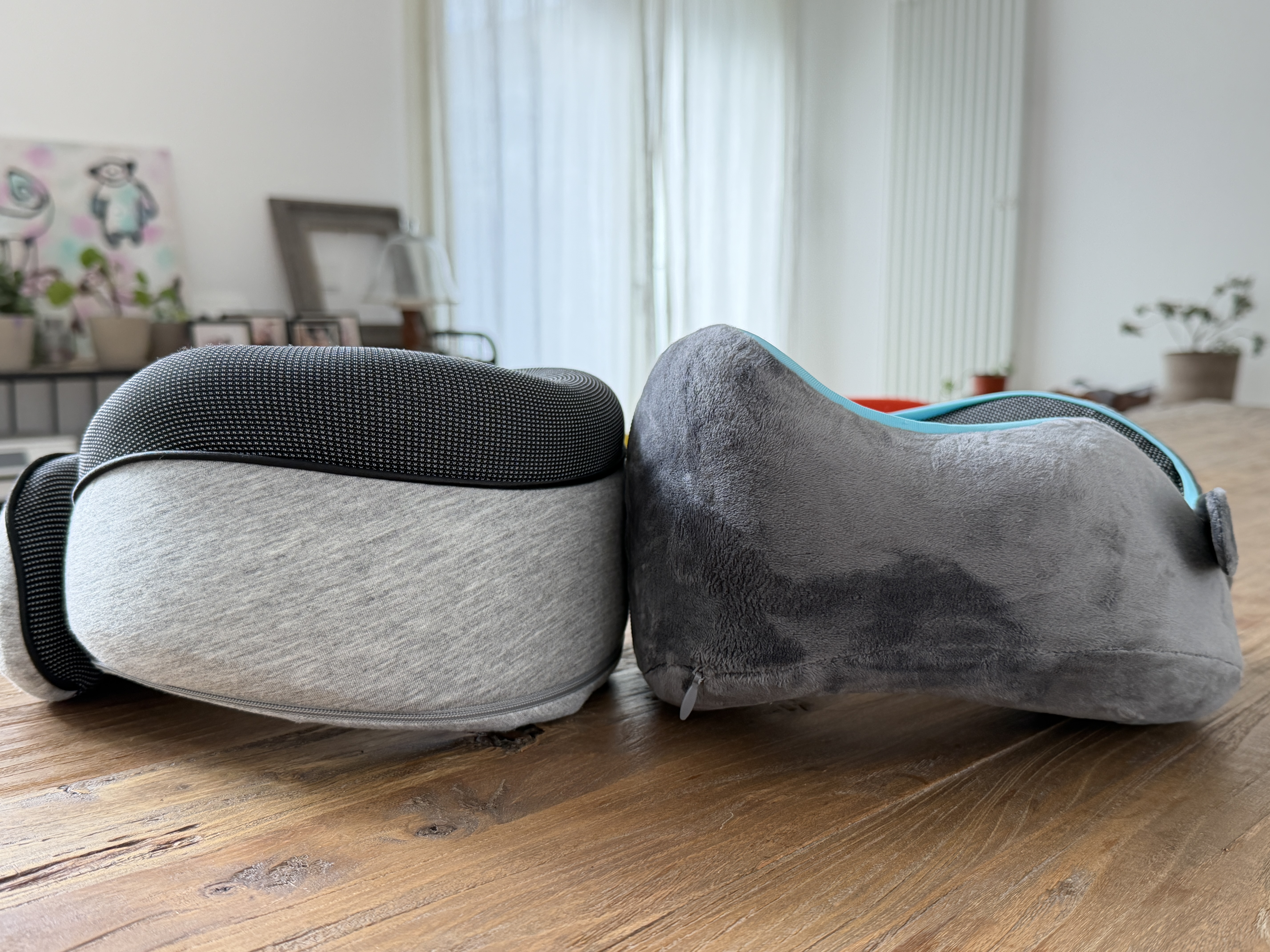 Proglobe vs Flowzoom1