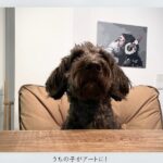 犬のアートキャンバス