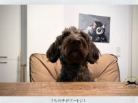 犬のアートキャンバス
