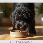 ウェットフードを食べる犬