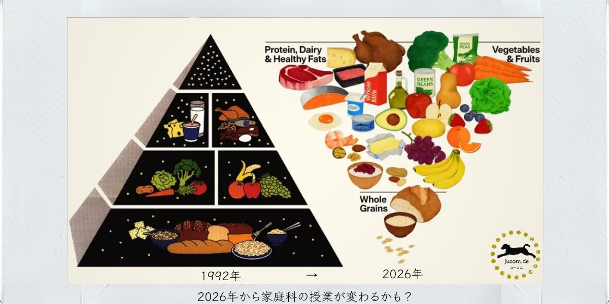 新しいフードガイドピラミッド