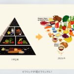 新しいフードガイドピラミッド